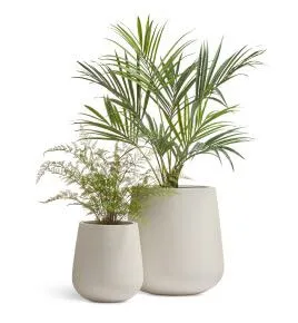 Композиция № 110 - кашпо Treez Effectory Fine Rock с пальмой