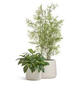 Композиция № 112 - кашпо Treez Effectory Fine Rock с бамбуком