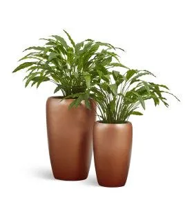 Композиция № 115 - кашпо Treez Effectory Metal с калатеями