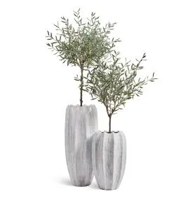 Композиция № 117 -  с оливами Prime в кашпо Treez Effectory Aura