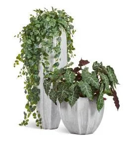 Композиция № 119 - кашпо Treez Effectory Aura со сциндапсусами