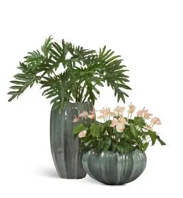 Композиция № 122 -  кашпо Treez Effectory Aura с антуриумом и филодендроном