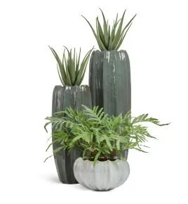 Композиция № 124 - с алоэ и папоротником в кашпо Treez Effectory Aura