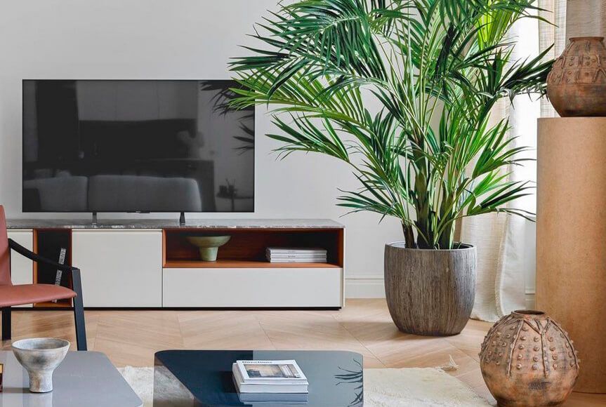 Идеи для озеленения гостиной