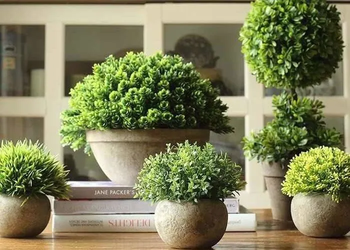 Комфортная атмосфера в офисе или доме