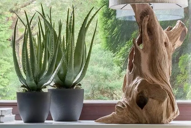 Более естественный интерьер с Treez