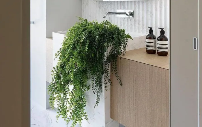 Ампельные растения