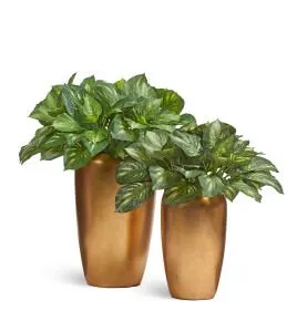 Композиция № 126 - в золотых кашпо Treez Effectory MetalEffectory Metal с хостами