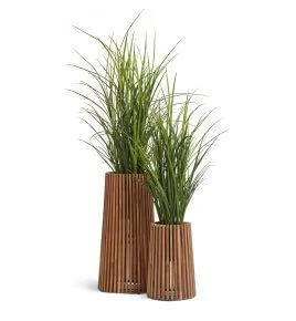 Композиция № 145 - Высокие конусы Treez Effectory Timberline и Трава Тростник
